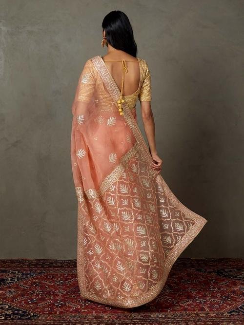 Coral Sterling Saree With Stitched Blouse - View 4
